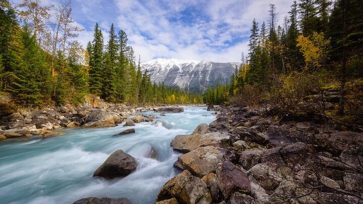 Banff National Park Full-Day Tour
