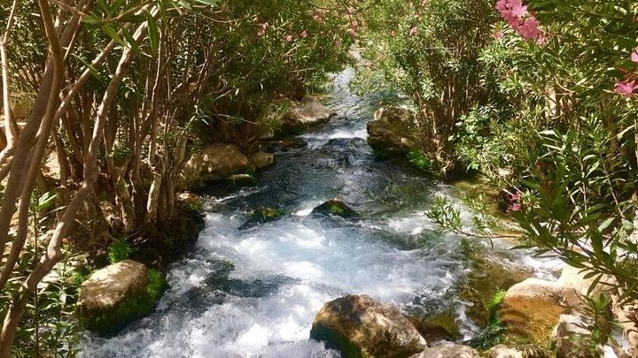 Costa Blanca: Guadalest, Algar Waterfalls Full-Day Tour