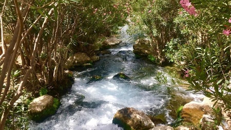 Costa Blanca: Guadalest, Algar Waterfalls Full-Day Tour