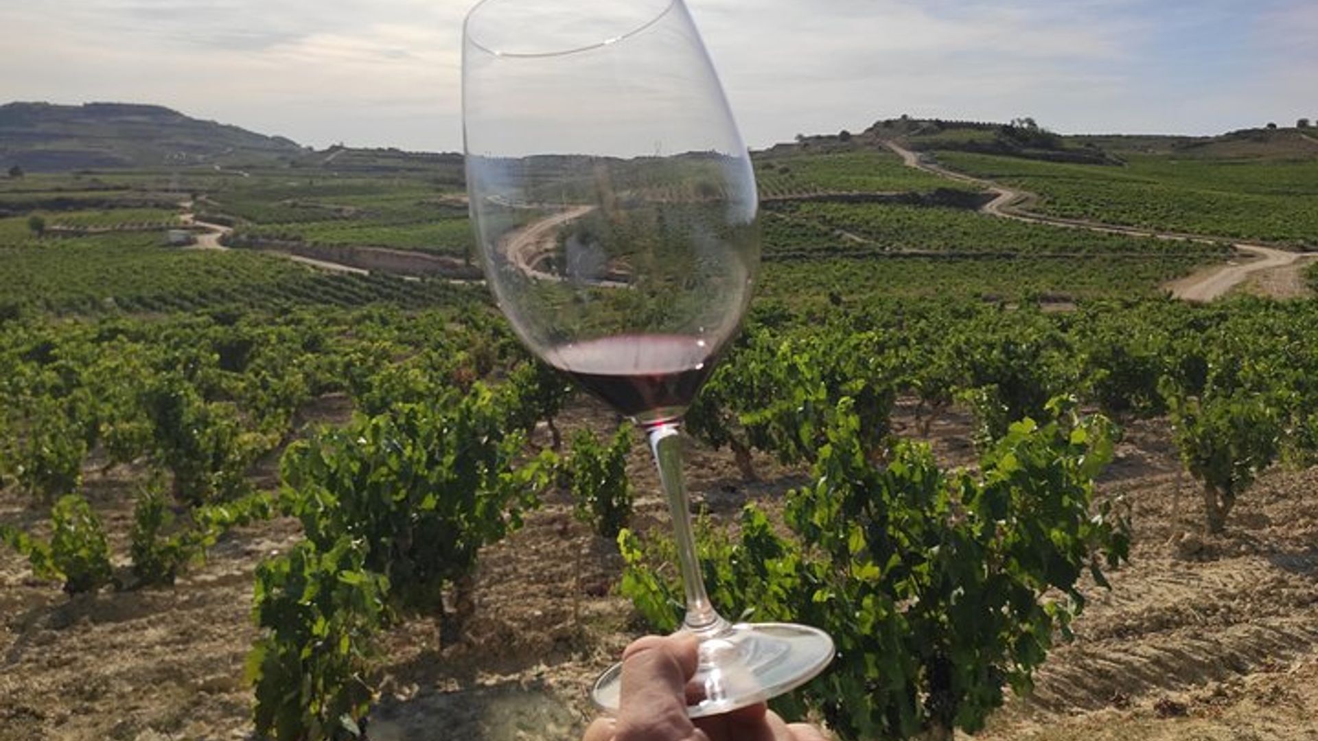 Rioja Wine Tour: Bodega Y Almuerzo Tradicional Desde Vitoria