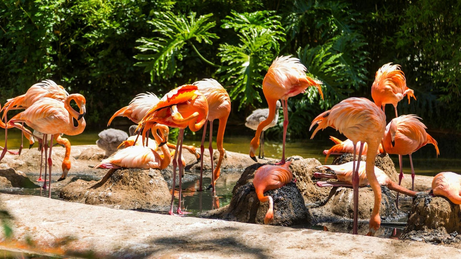 Barcelona Zoo tickets