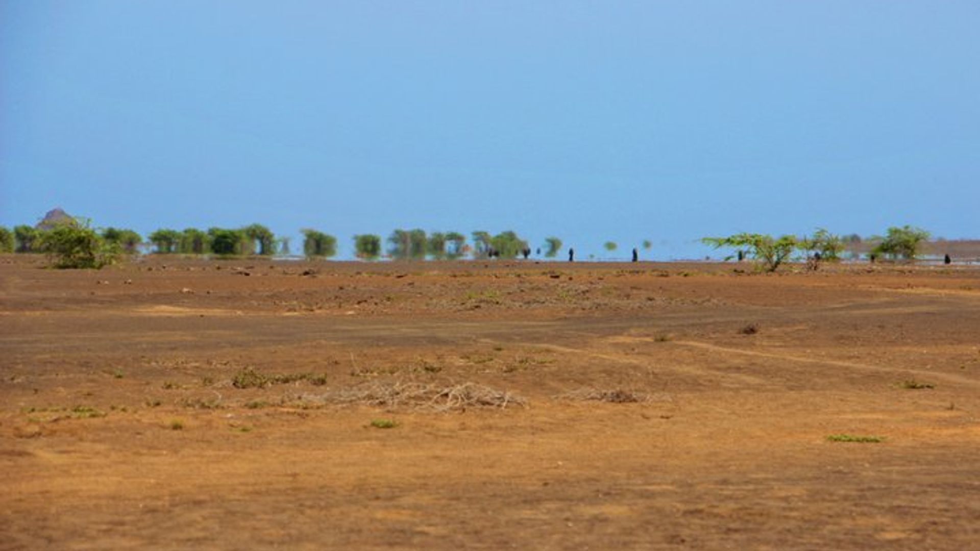 Sal Island Full-Day Tour from Santa Maria