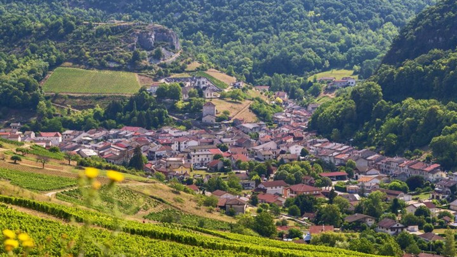 Lyon Mittelalterliches Dorf Pérouges Tagesausflug