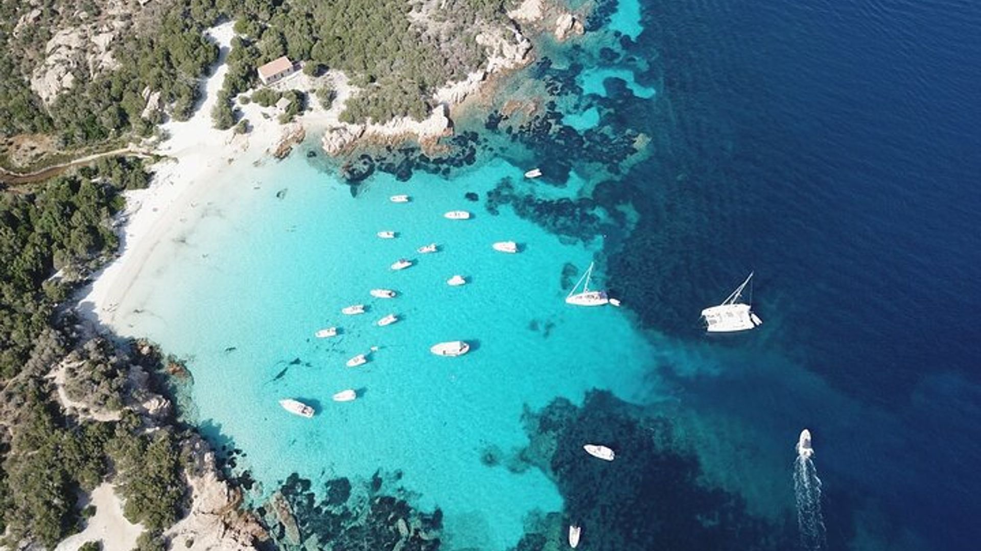 Palau or La Maddalena: 4-hour RIB tour of the archipelago