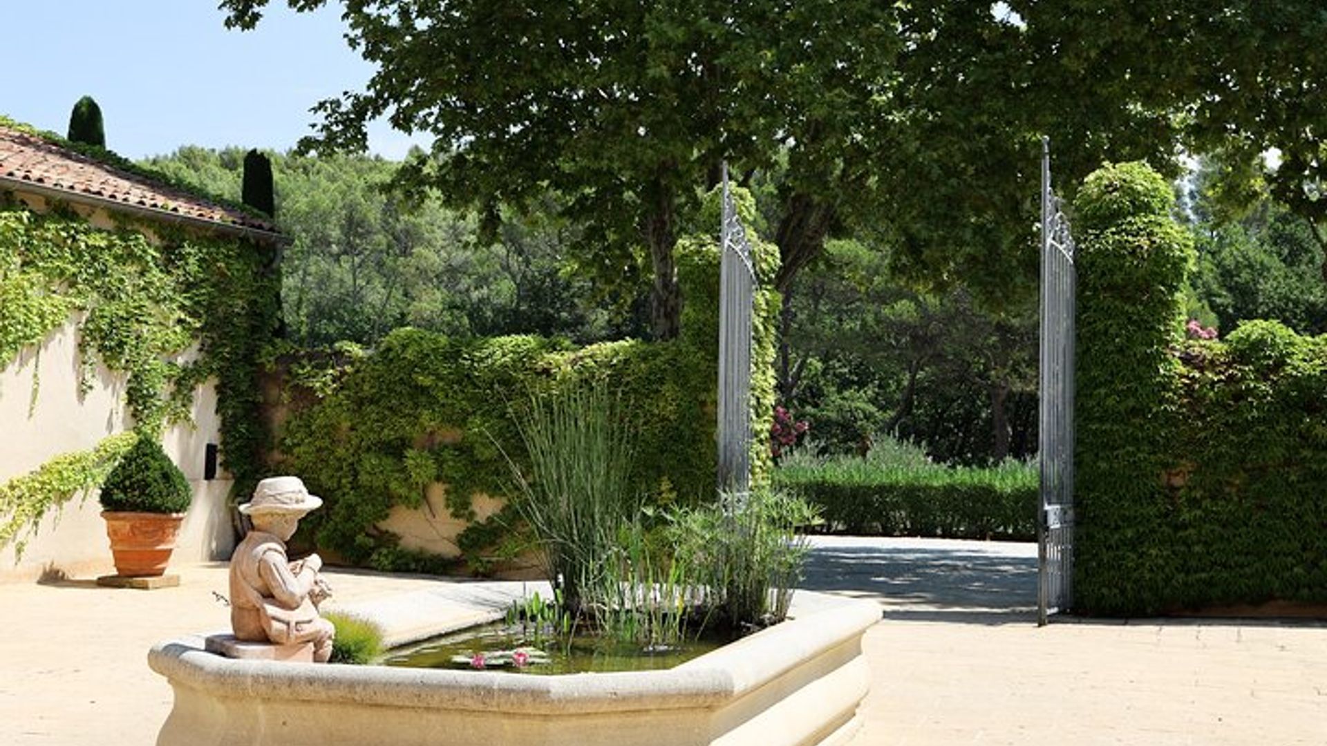 Los vinos del Luberon, el Château de Lourmarin y el aceite de oliva Bastide du Laval