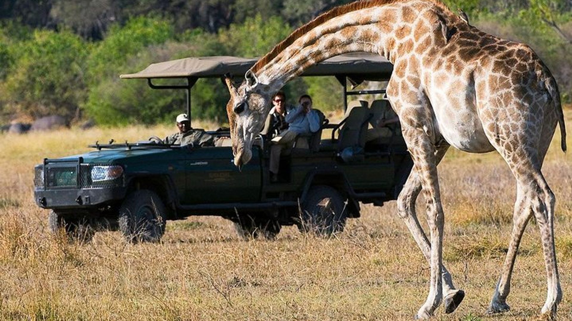 อุทยานแห่งชาติ Chobe แคมป์ปิ้งซาฟารี จากน้ำตกวิกตอเรีย (2 วัน 1 คืน)