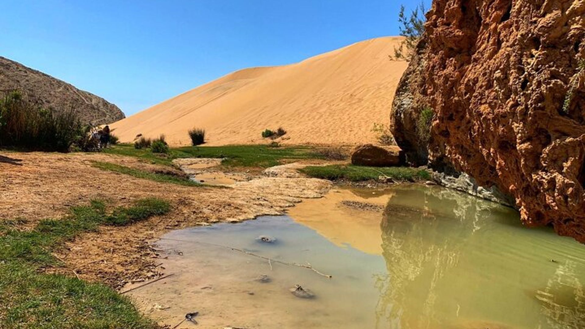 Randonnée et vélo Essaouira à Iftan par Coastal Gems