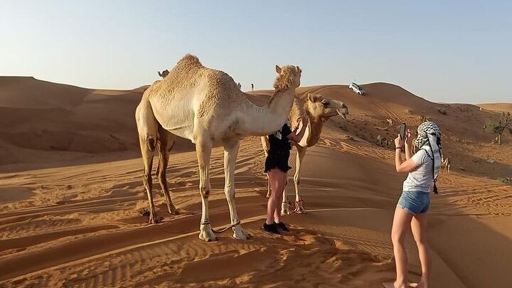 Morning Desert Private Safari From Dubai
