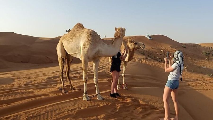 Morning Desert Private Safari From Dubai