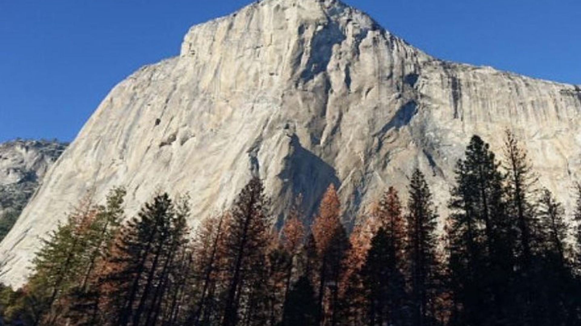 Yosemite National Park Small-Group Tour From San Francisco image 3