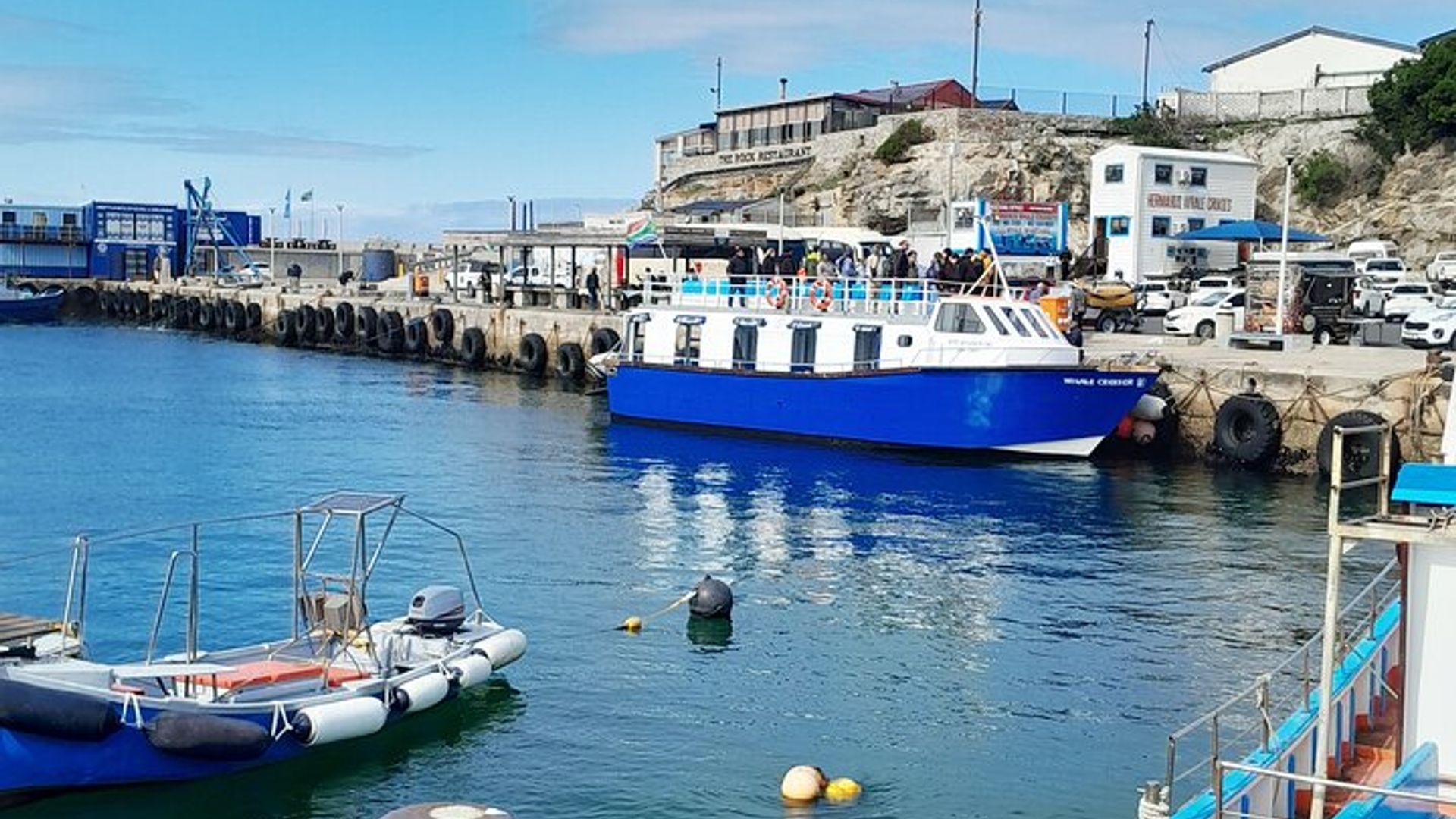 Private Guided Whale Watching Activity in Cape Town