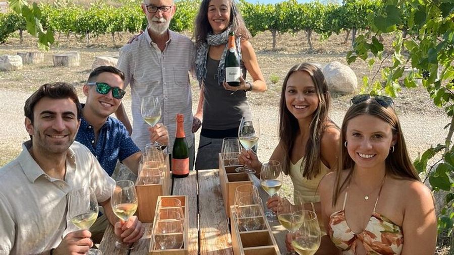 Cava Wineries Tour From Barcelona
