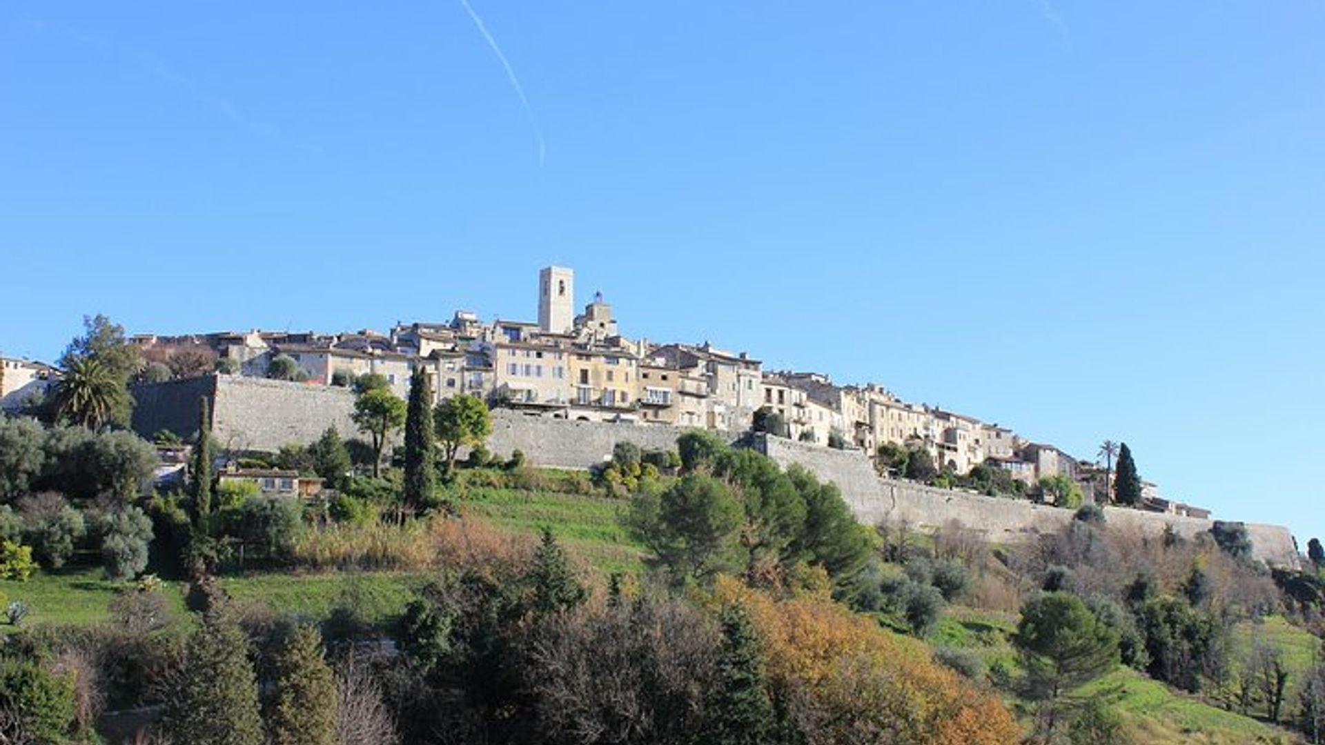 Taste of Provence
