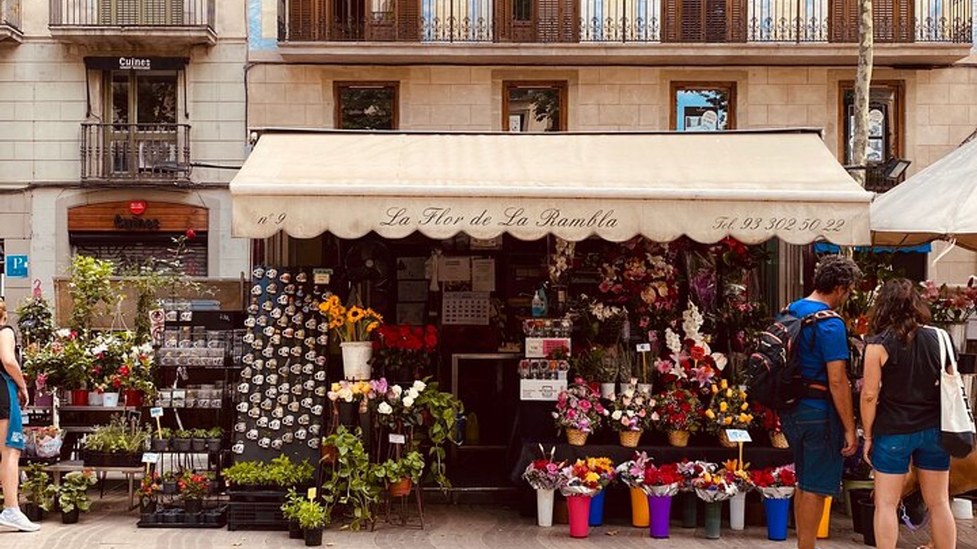 Barcelona: Tapas, Walking Tour and Flamenco