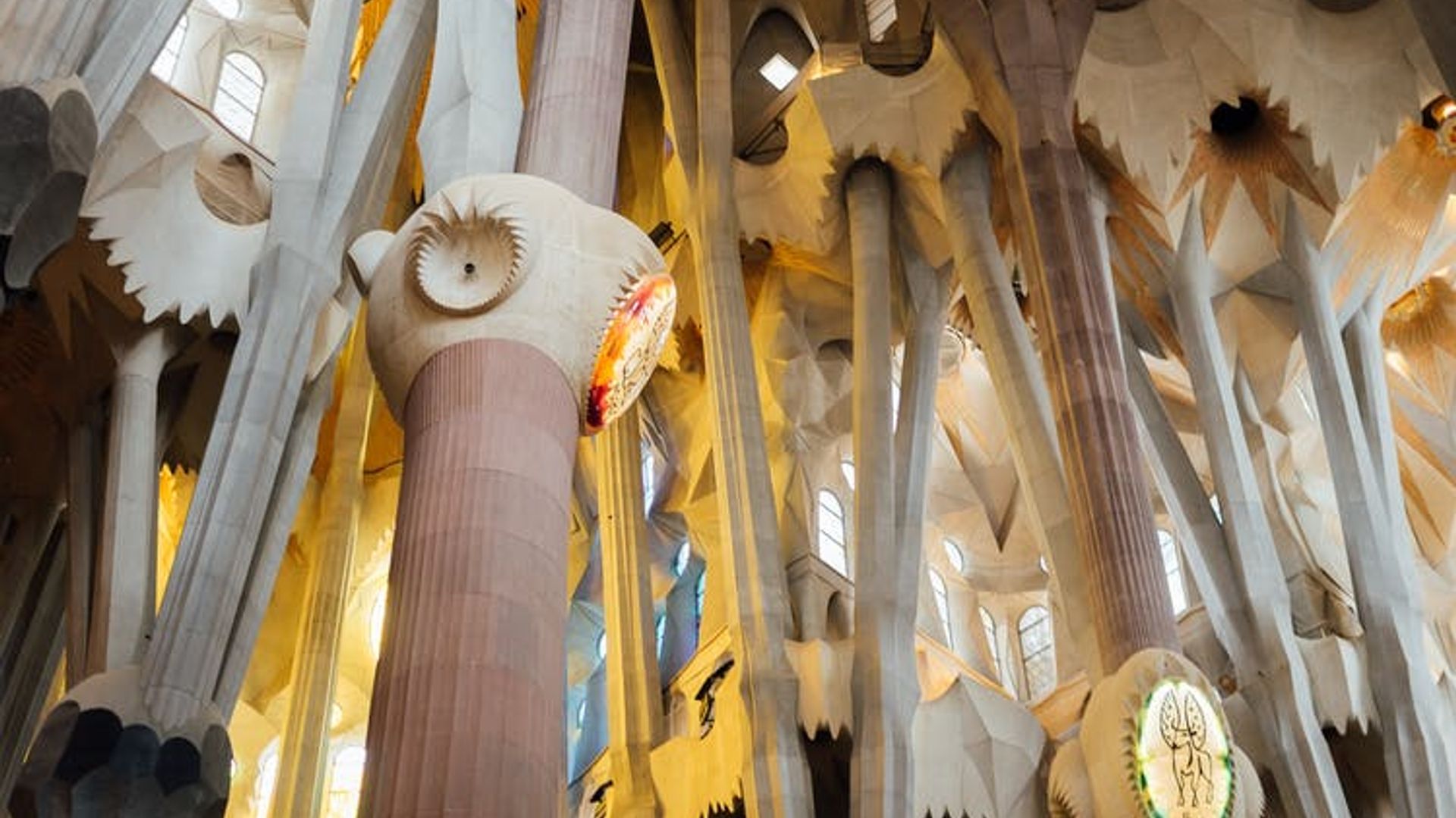 Skip-the-line Park Guell and Sagrada Familia guided tour