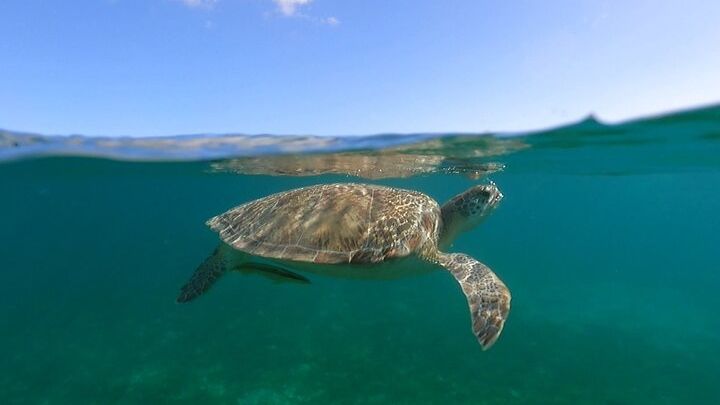 St. John or St. Thomas Private Full-Day Boat Charter