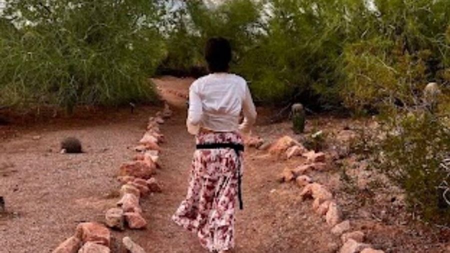 Phoenix Sonoran Desert Sunset Nature Walk and Cactus Tasting