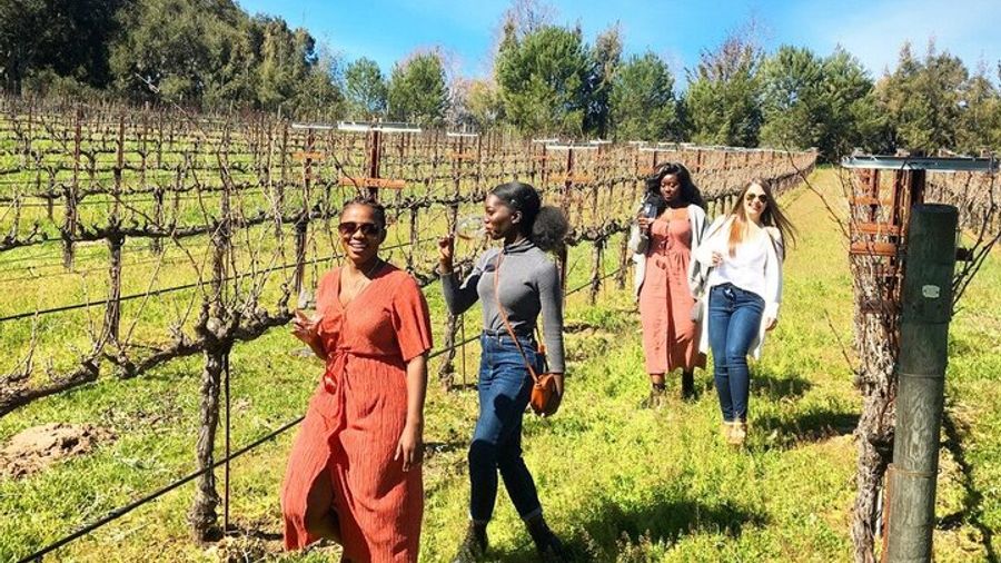 Santa Barbara Small-Group Wine Tour to Private Locations