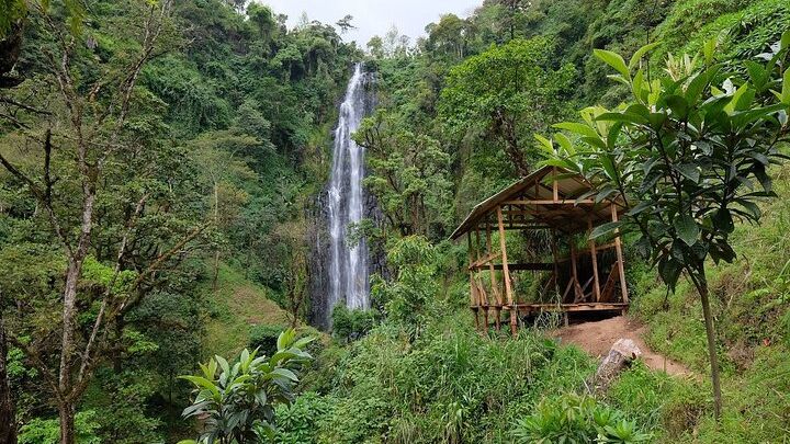Waterfalls, Coffee Farm, and Chemka Hot Springs Private Tour