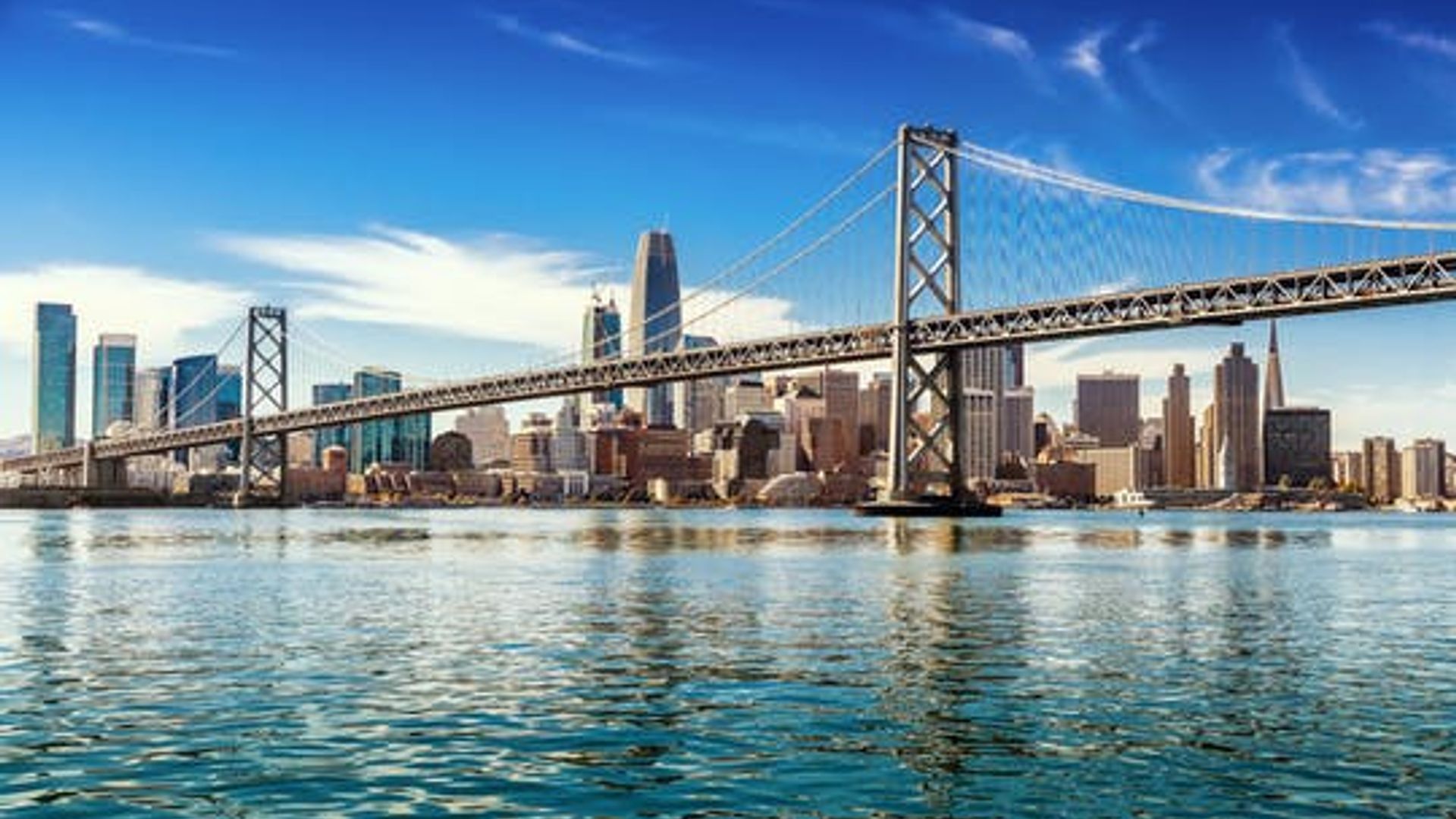 San Francisco Lunch Cruise image 1