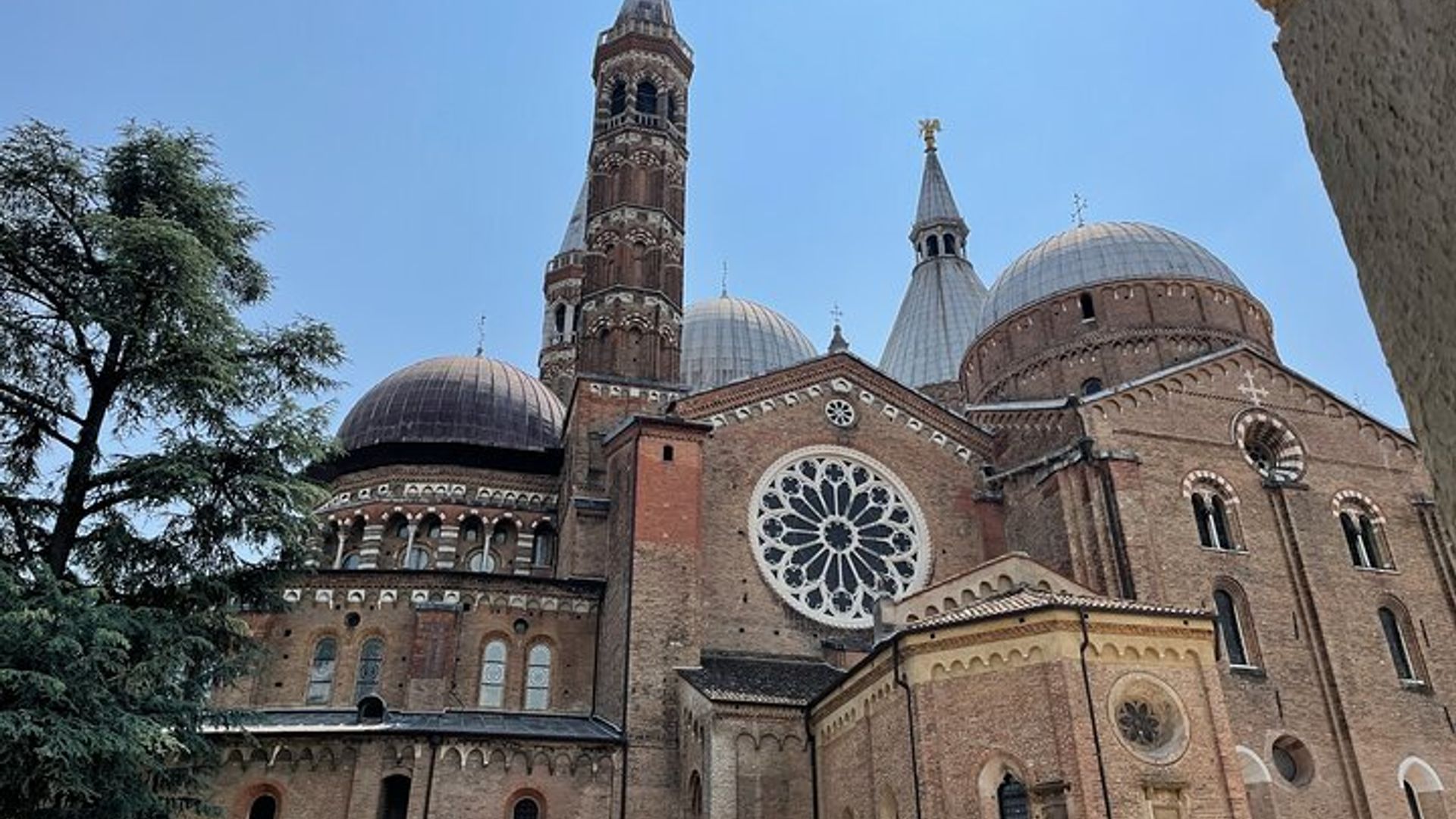 Padua Tour privado a pie con guía local