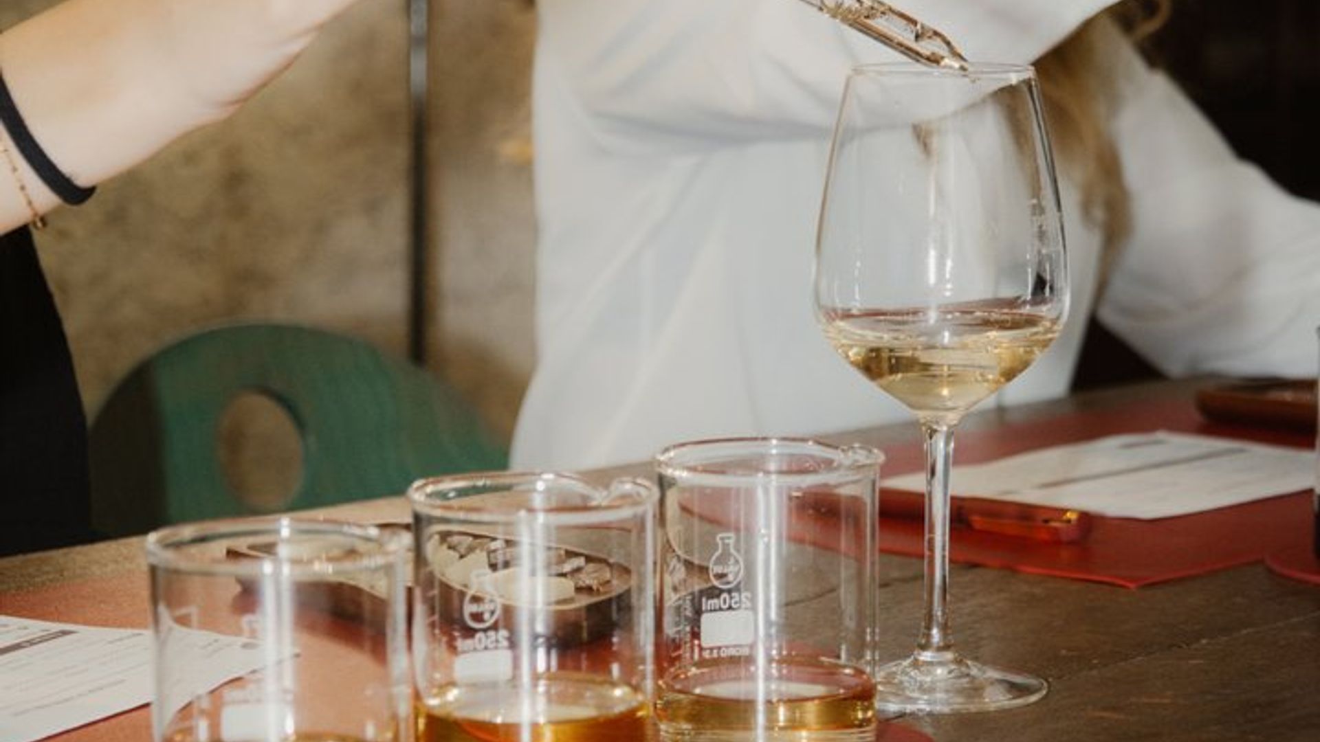 White Wine Creation Workshop and Wine Museum Tour