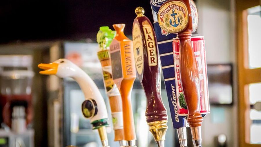 Historical Walking Tour and Bar Crawl in Charleston