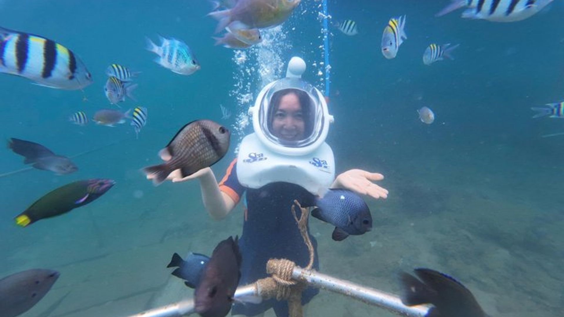 Crucero de día completo de las islas Cham: caminata subacuática, snorkeling