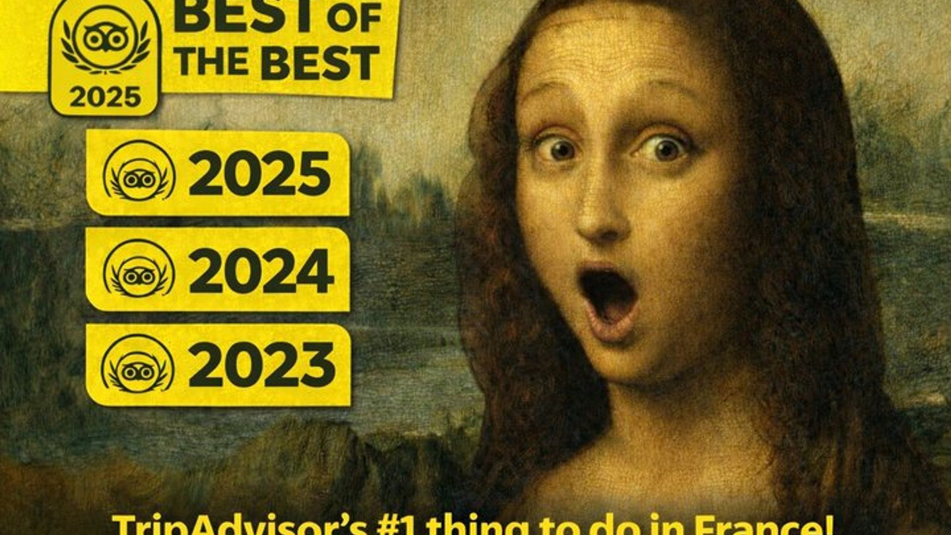 Visita guiada privada : Museo del Louvre