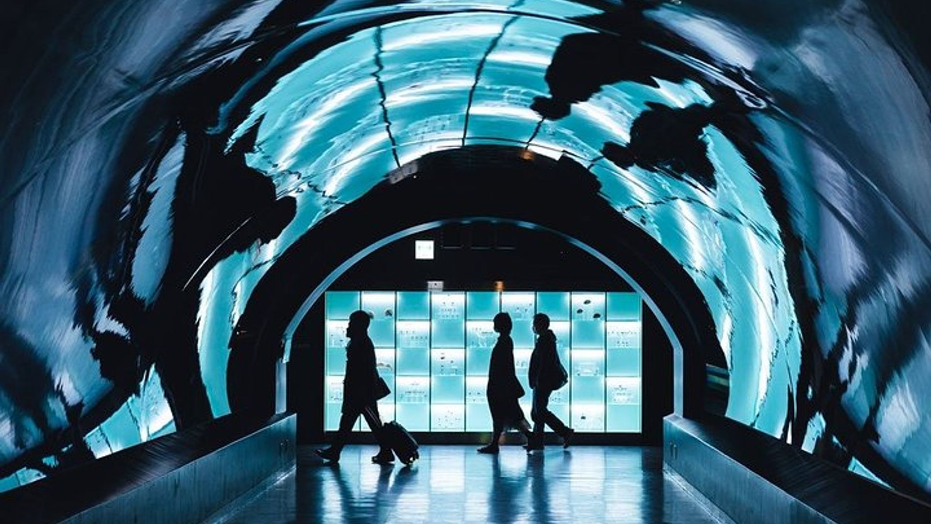 Transfert privé aller simple de l'aéroport d'Orly à Paris