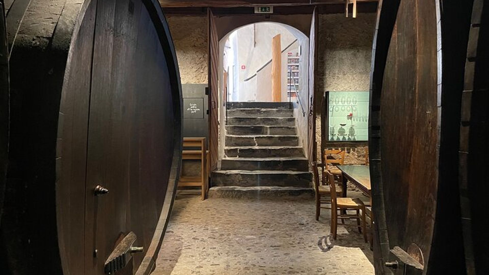 Visita a los viñedos de Lavaux y al Museo del Vino en el Château d'Aigle