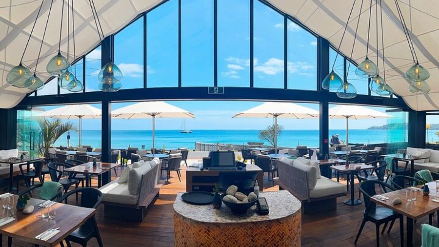 Waiheke Island Wine-Tasting and Lunch Half-Day Tour