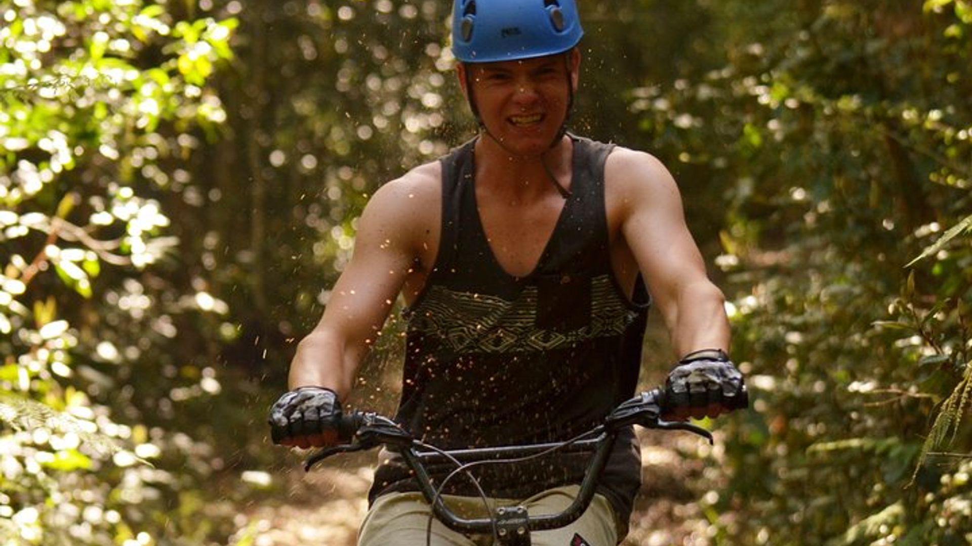 Knysna Forest Downhill-Scooter-Erlebnis
