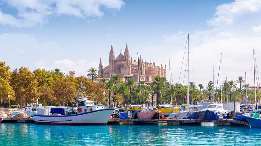 Valldemossa, Palma de Mallorca Private Tour with Port Pickup