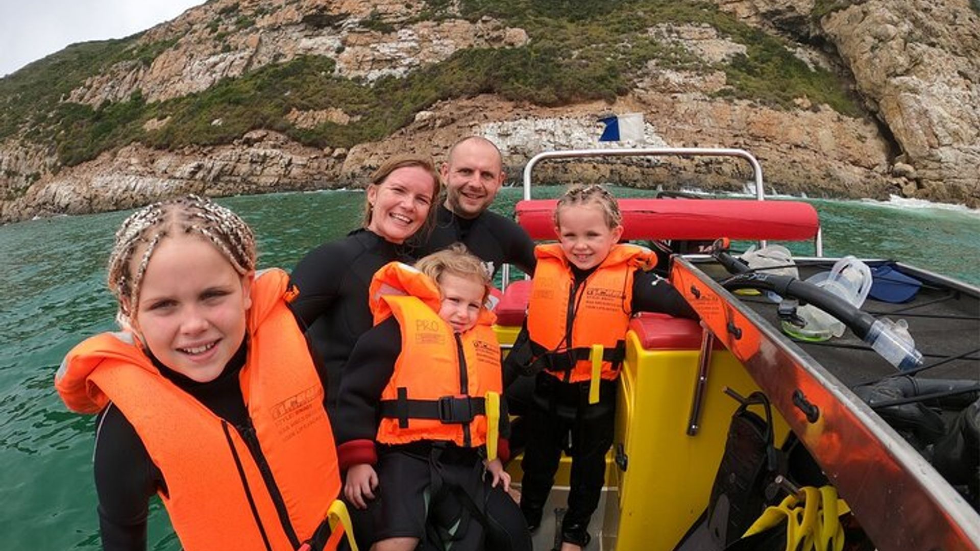 Swim with the Seals in Plettenberg Bay