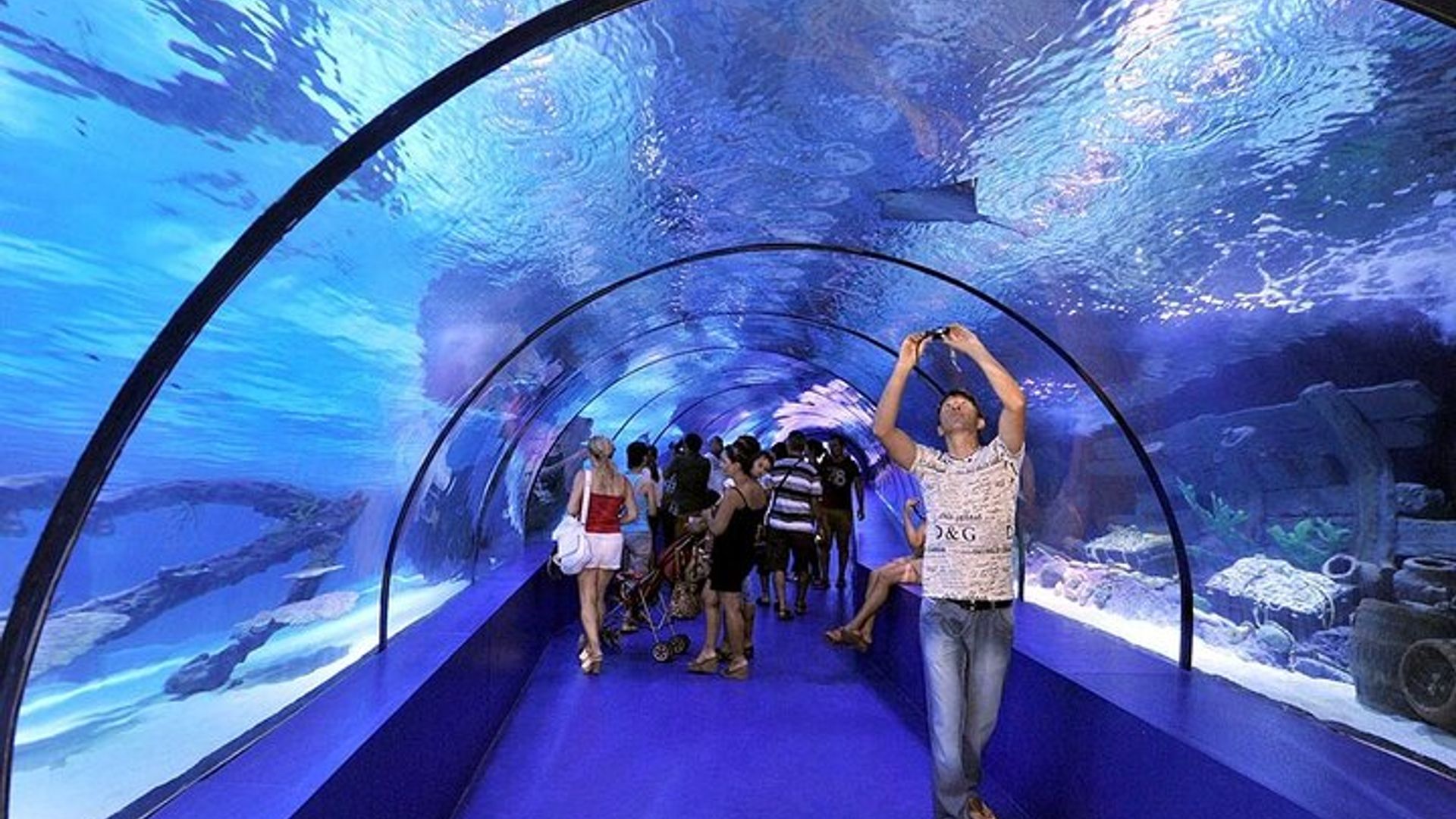 Antalya Aquarium with Entrance and Roundtrip Transfer from Alanya
