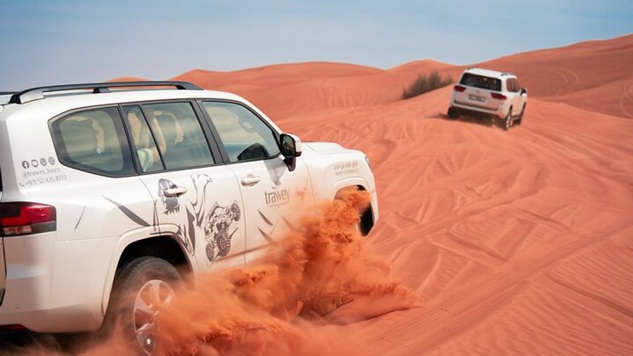Dubai Morning Desert Safari With Dune Bashing and Transfer