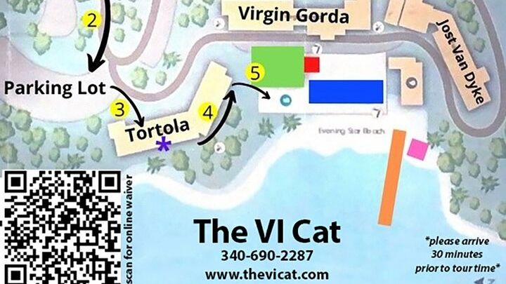 Charlotte Amalie Harbor and Sunset Dinner Cruise With Open Bar