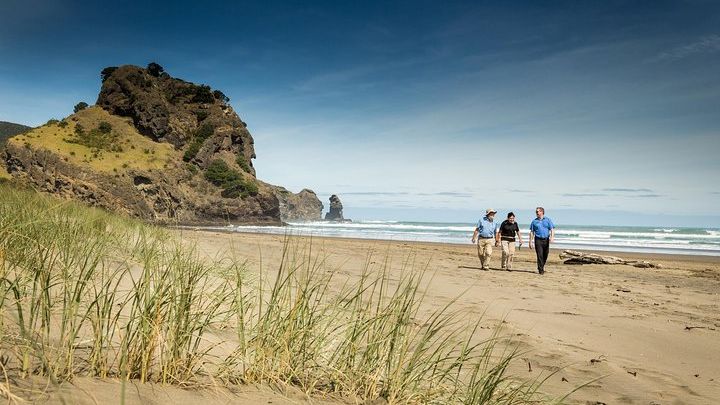 Auckland City and West Coast Small-Group Full-Day Tour