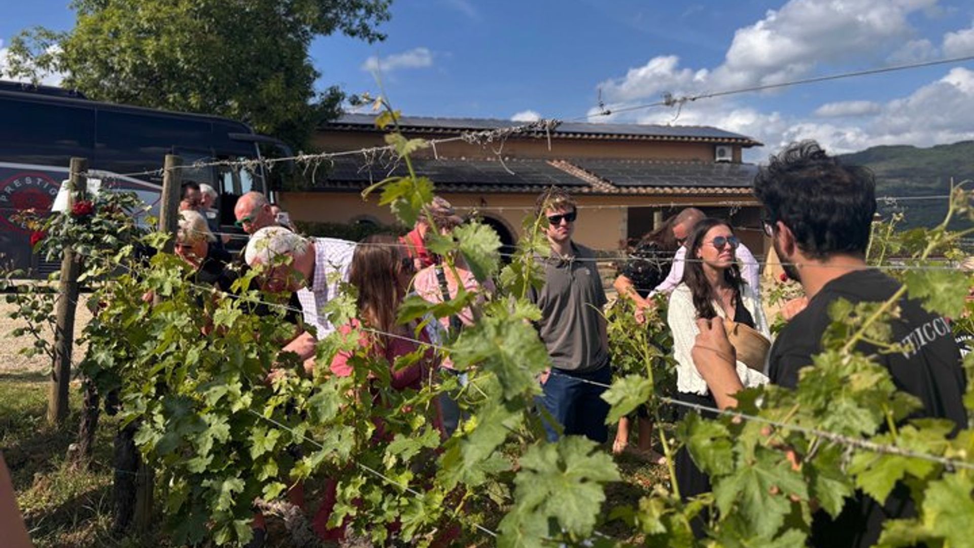 Florenz nach Toskana Ländliche Weinprobe in kleiner Gruppe
