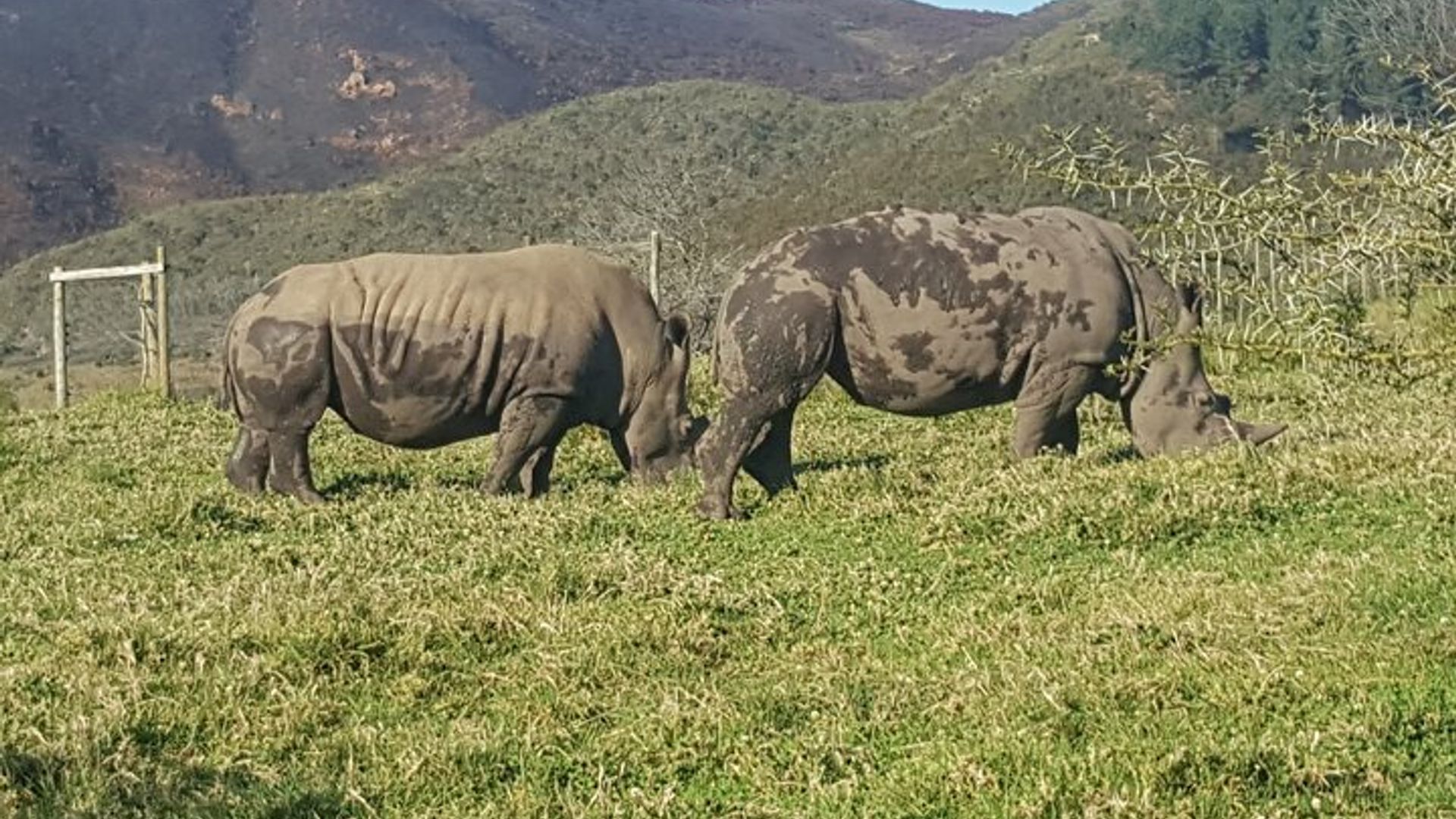 Garden Route Experience