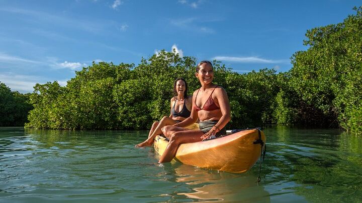 2 Hour Mangrove Kayak and Snorkel Tour