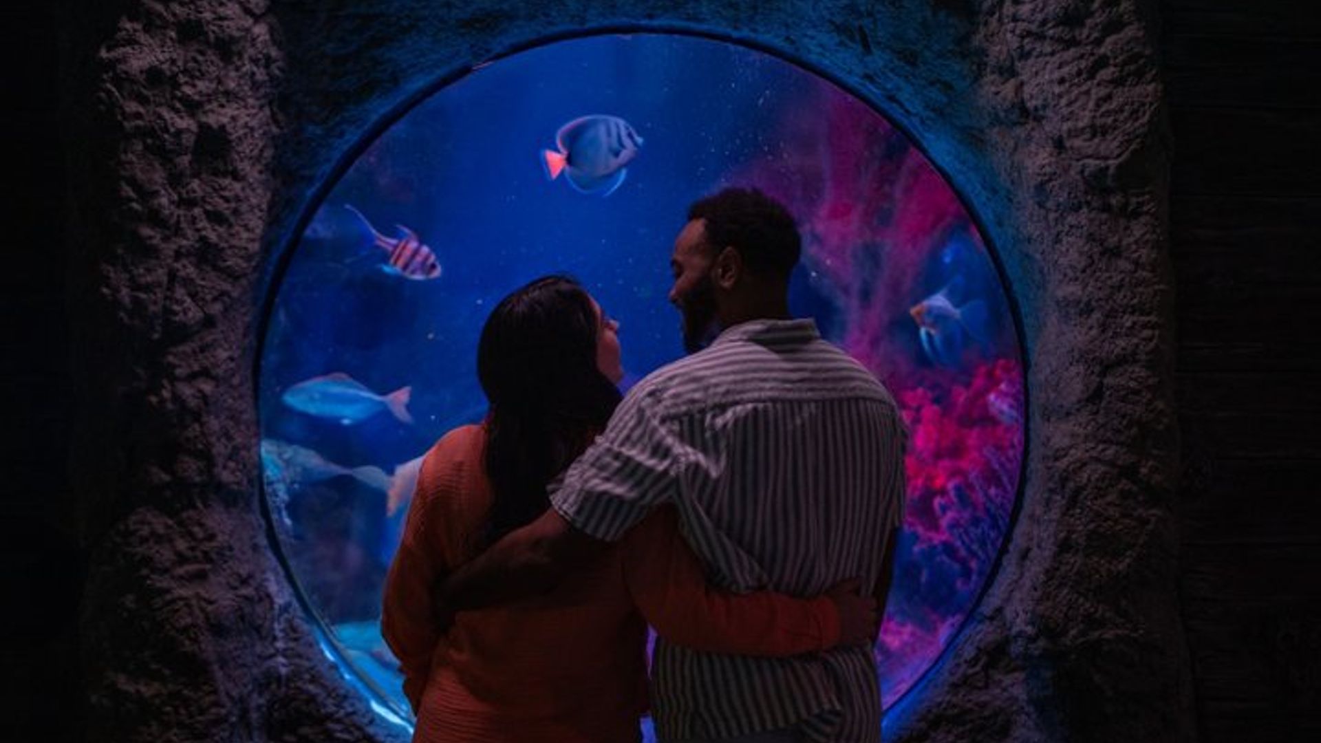 Orlando : Aquarium SEA LIFE, billets pour le parc ICON, surclassements supplémentaires