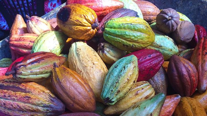 Chocolate and Cobblestones Tour with Taste of San Miguel