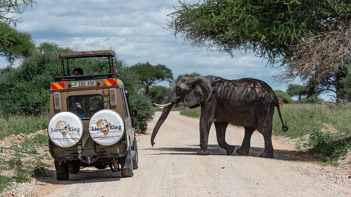 Arusha Private 6-Day Midrange Safari Tour