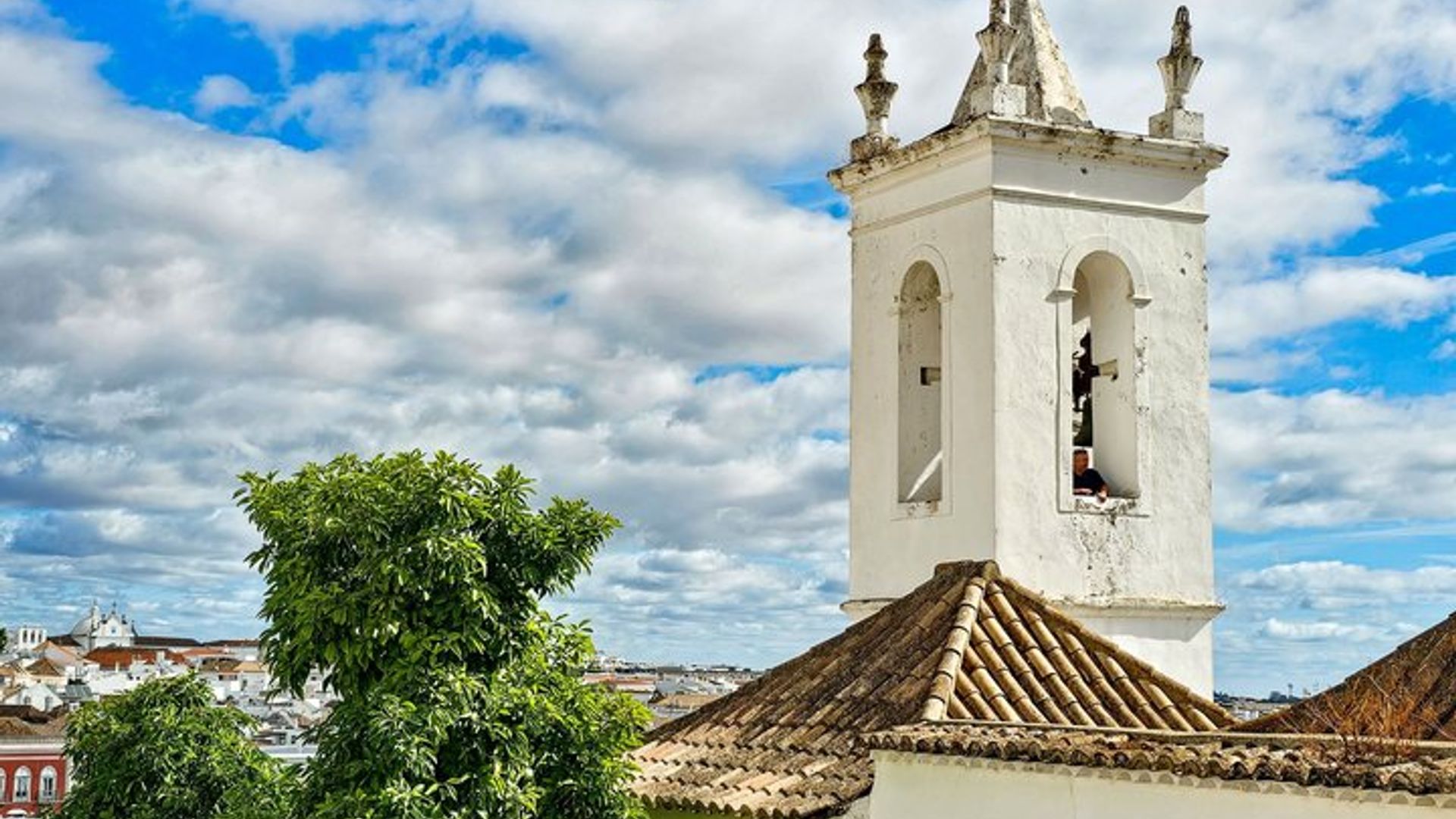 Raíces de Tavira: Salinas, pulpo, atún, vinos tradicionales y tapas.