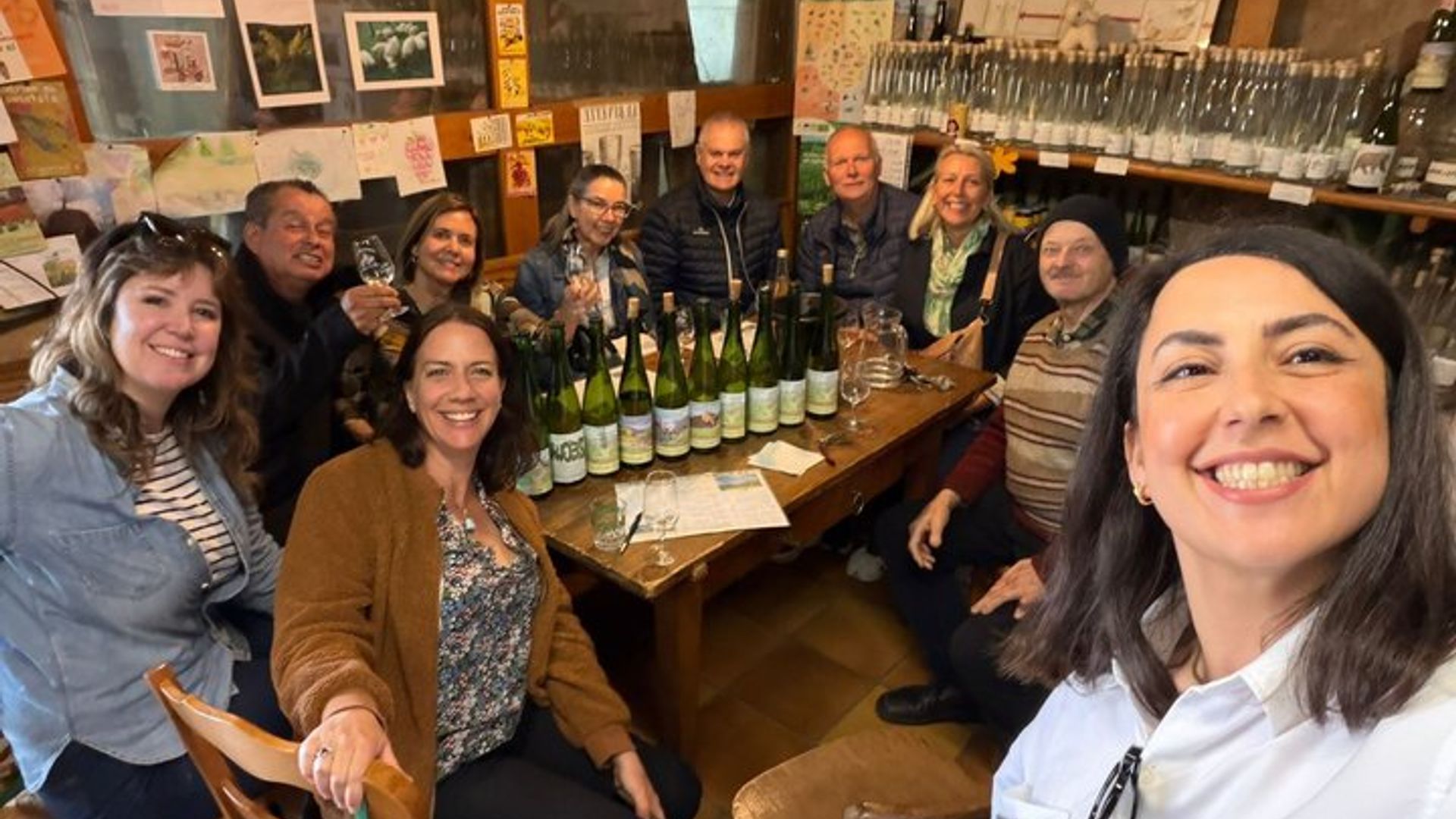 Excursion d'une demi-journée avec dégustation sur la Route des vins d'Alsace au départ de Strasbourg
