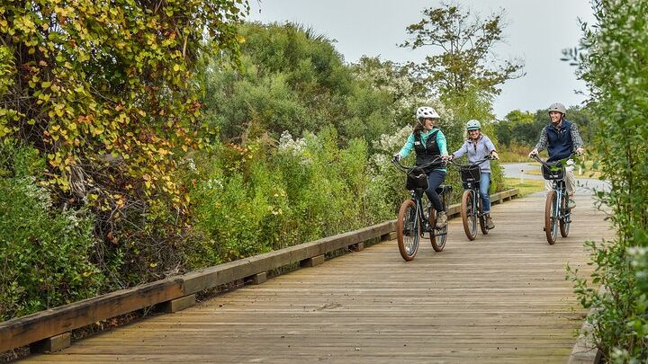 Hilton Head Small-Group E-Bike Tour