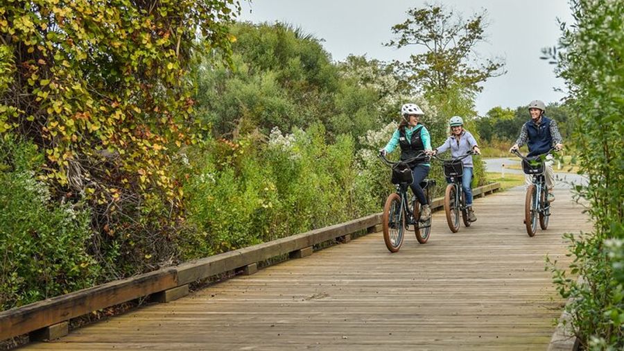 Hilton Head Small-Group E-Bike Tour