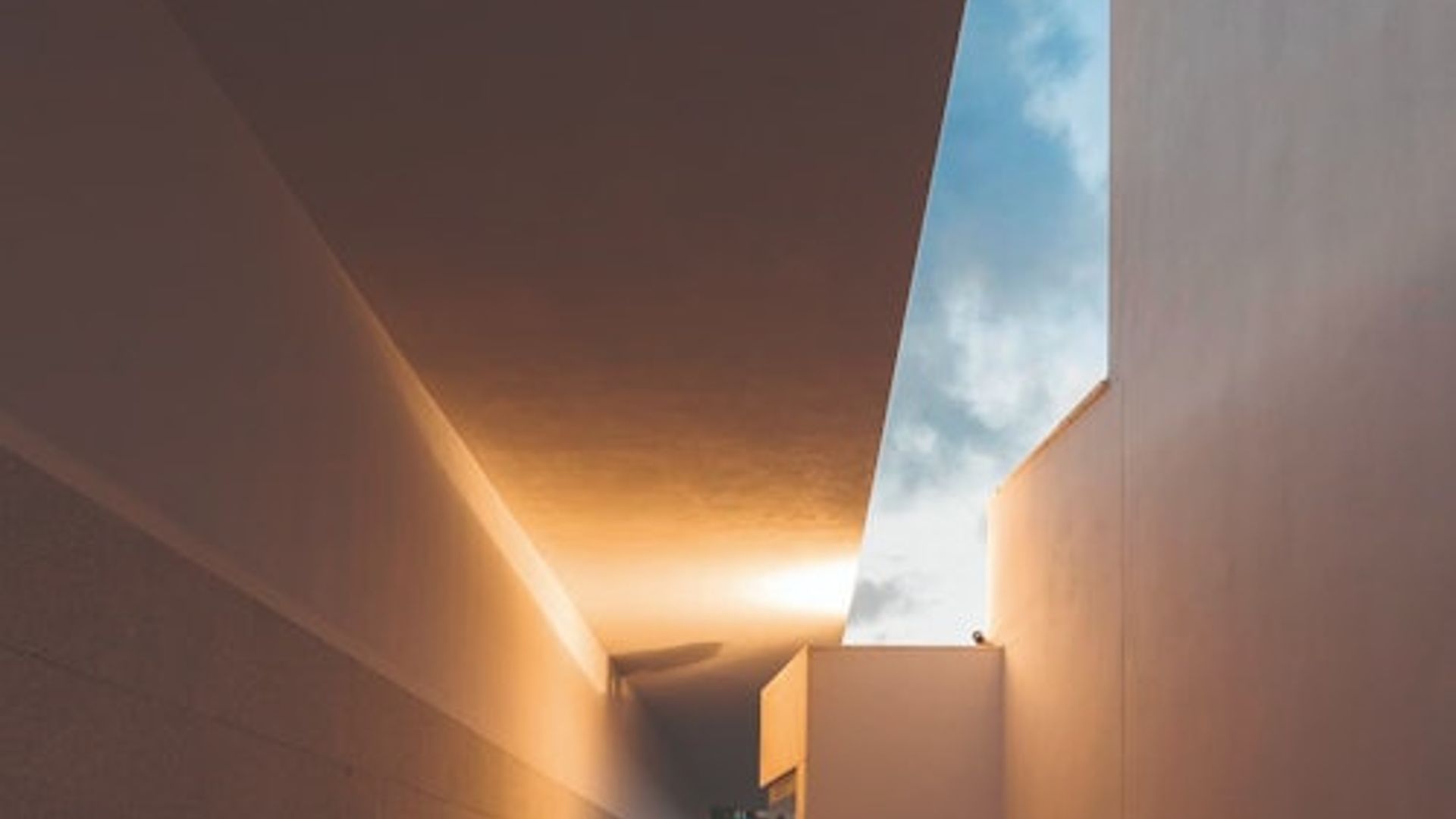 Fondation Serralves : Billet d'entrée tout public
